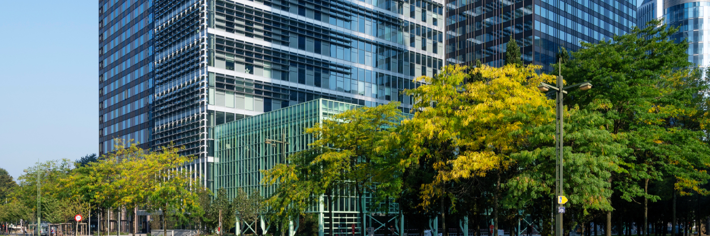 ZIN bruxelles greisch 1440 X 480